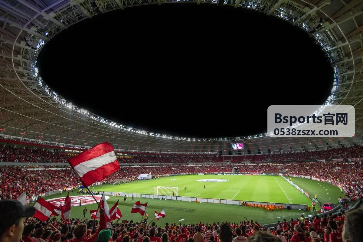 Bsports官网客户端下载安装流程