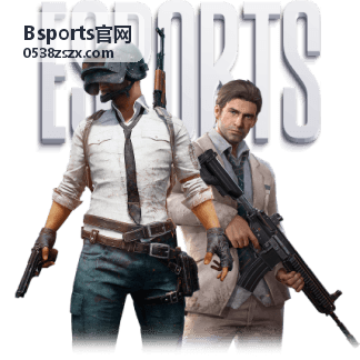 Bsports官网实时比分功能