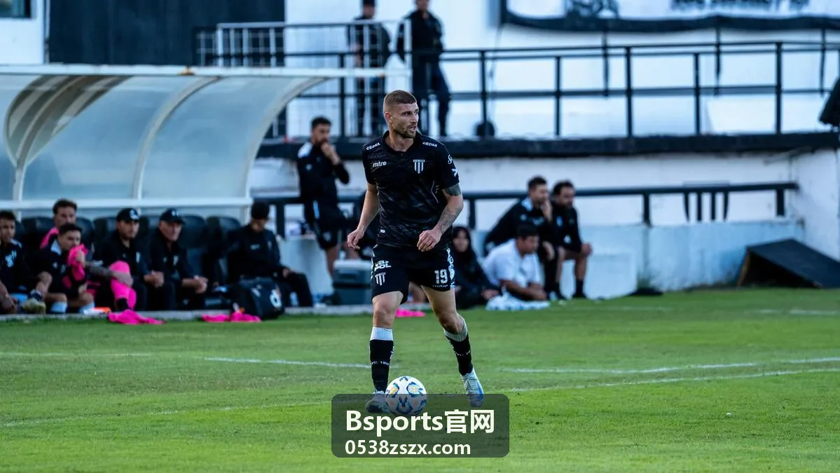 Bsports官网下载安装问题分类封面