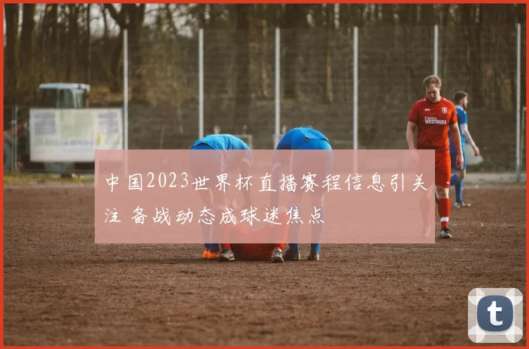 中国2023世界杯直播赛程信息引关注 备战动态成球迷焦点