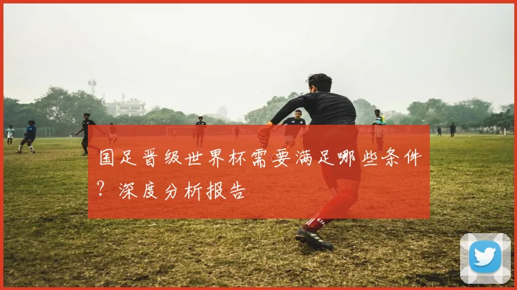 国足晋级世界杯需要满足哪些条件？深度分析报告