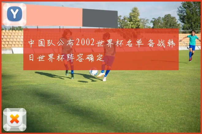 中国队公布2002世界杯名单 备战韩日世界杯阵容确定
