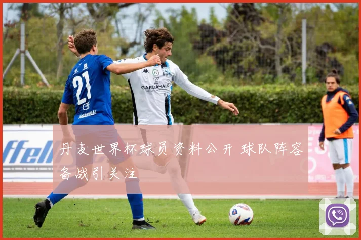丹麦世界杯球员资料公开 球队阵容备战引关注