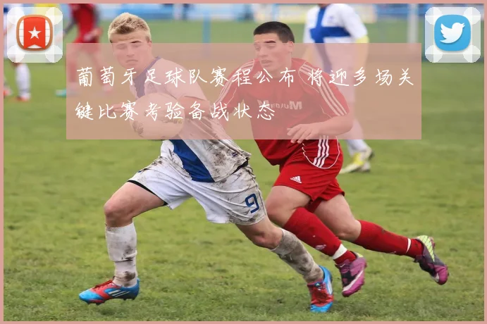 葡萄牙足球队赛程公布 将迎多场关键比赛考验备战状态