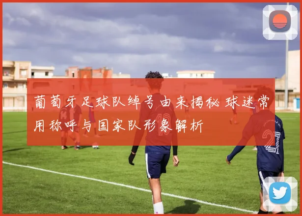 葡萄牙足球队绰号由来揭秘 球迷常用称呼与国家队形象解析