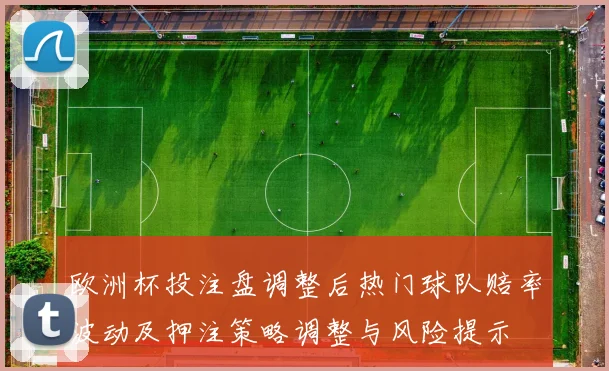 欧洲杯投注盘调整后热门球队赔率波动及押注策略调整与风险提示
