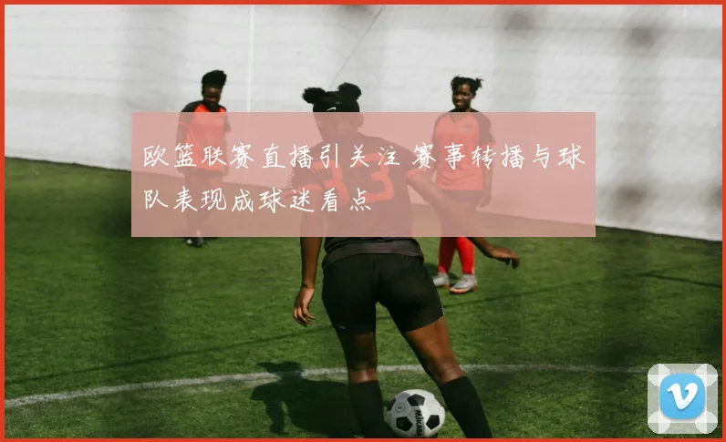 欧篮联赛直播引关注 赛事转播与球队表现成球迷看点