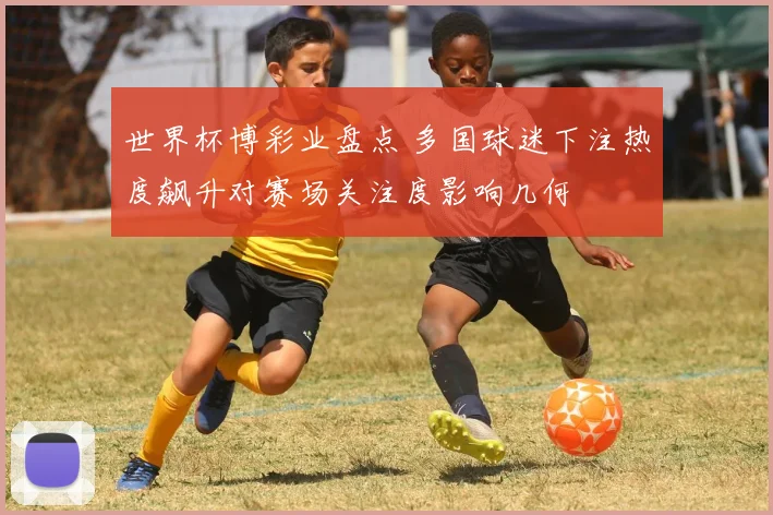 世界杯博彩业盘点 多国球迷下注热度飙升对赛场关注度影响几何