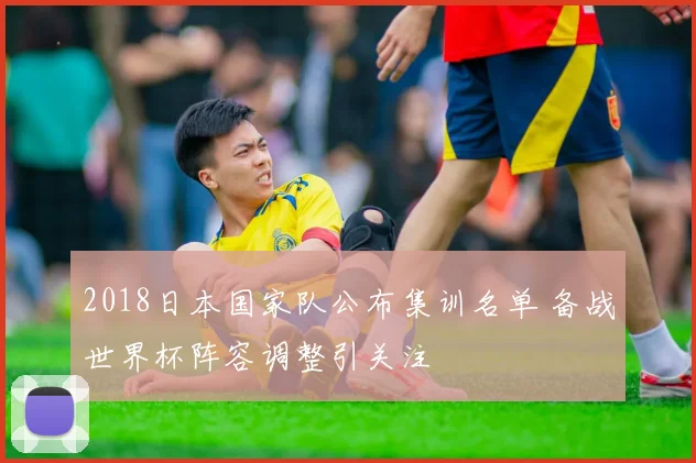2018日本国家队公布集训名单 备战世界杯阵容调整引关注