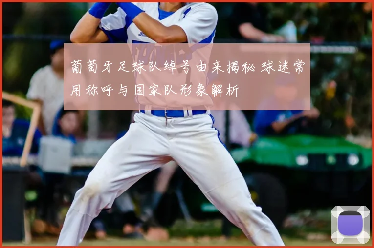 葡萄牙足球队绰号由来揭秘 球迷常用称呼与国家队形象解析