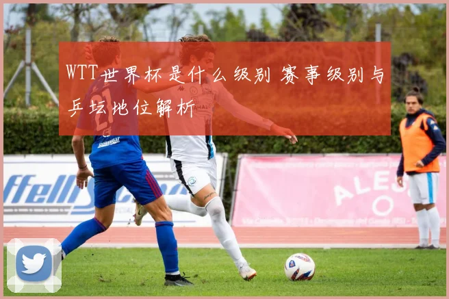 WTT世界杯是什么级别 赛事级别与乒坛地位解析