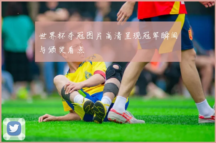 世界杯夺冠图片高清呈现冠军瞬间与颁奖看点