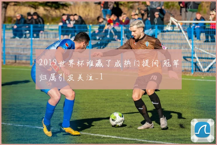 2019世界杯谁赢了成热门提问 冠军归属引发关注_1