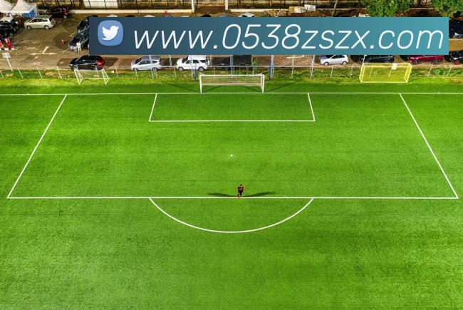 数据防护可视化